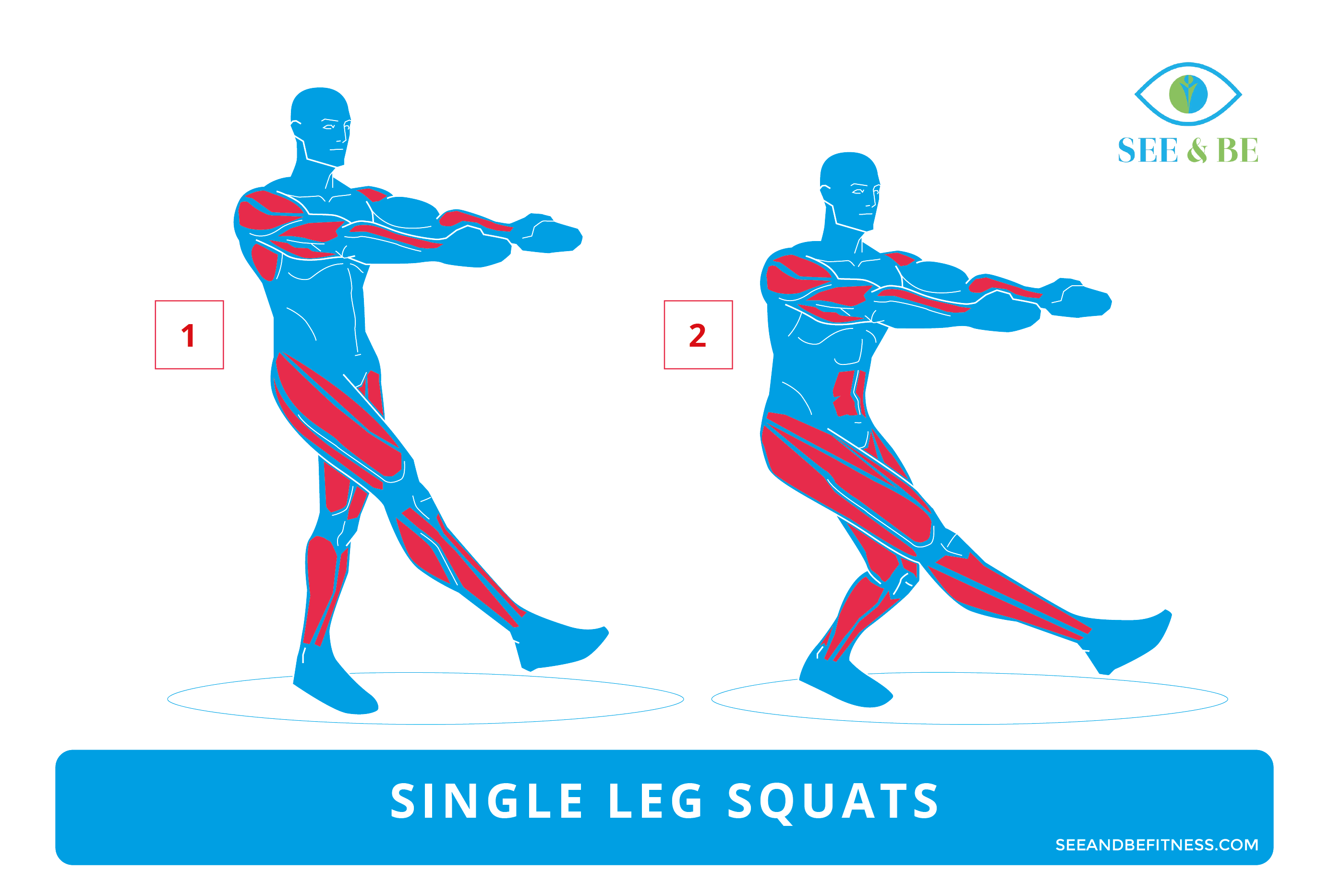 Exercise of the Day Single Leg Squats Steemit